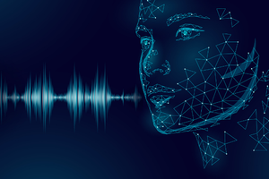 Voice-Biometrics